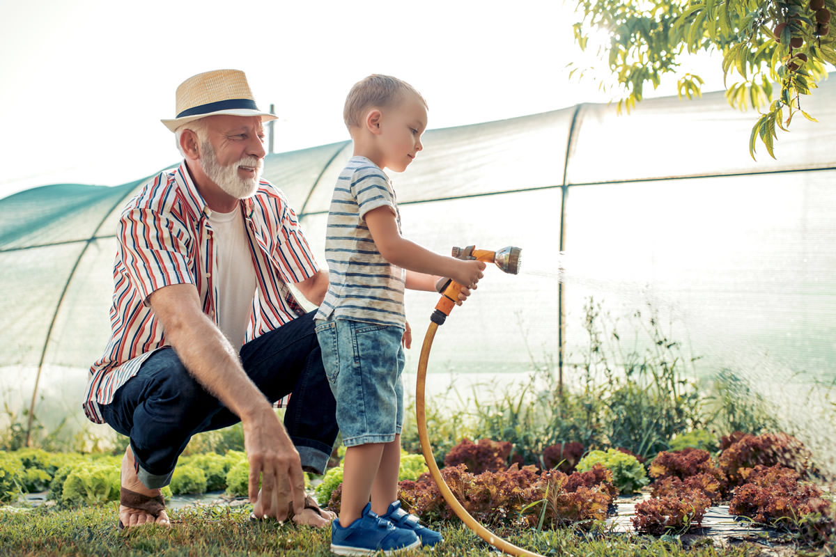 Frühlingserwachen im Garten: Tipps für erfolgreiche Pflege und blühende Vielfalt